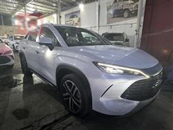 بي واي دي سونغ L DM-i